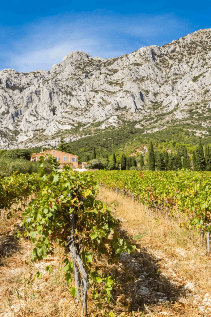 circuit touristique "Alpilles" avec chauffeur privé VTC. Route des vins en Provence