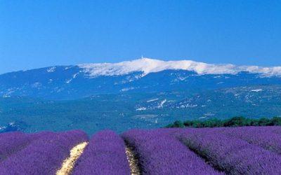 Las escapadas en el Luberon y el Mont Ventoux