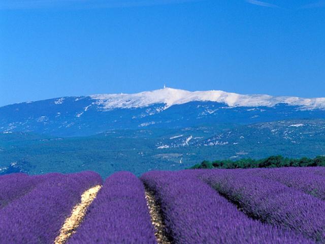 Découvrir la Provence avec Easy going Porvence VTC, un chauffeur symap et bilingue anglais. Réserver un chauffeur VTC à Bédoin