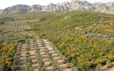 Réserver VTC Chauffeur privé Aureille